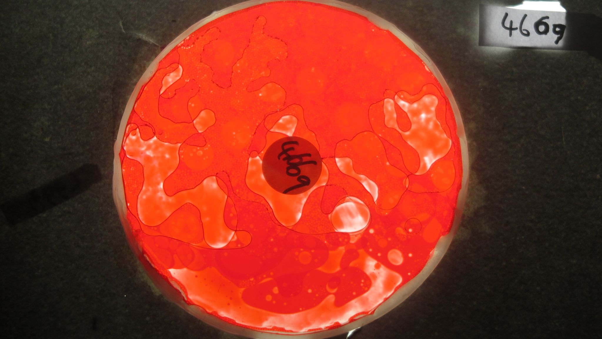 BV4669 bubble vision oil wheel